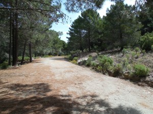 The main road was wide and led to an overlook of Marbella.