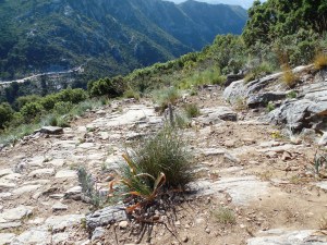 Climbing up the mountain is physically taxing, but for me going down is much scarier.