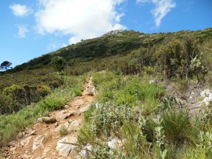 The trail got steep rapidly.