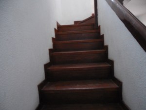 The first half of one flight of our stairs.