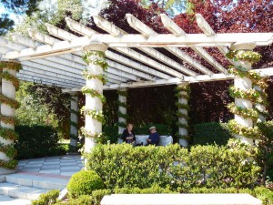 Elderly Couple Playing Cards - so sweet.