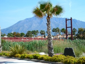 A marsh area near the footbridge. 