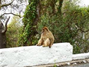 This guy sat and watched us watching him.