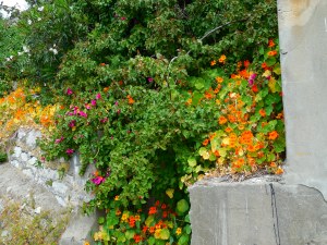 Flowers cascaded everywhere.