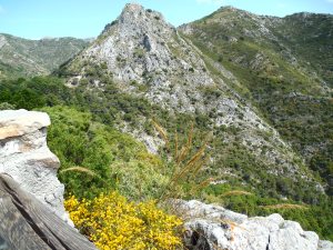 The first day we climbed to the top of another  overlook with wonderful views.