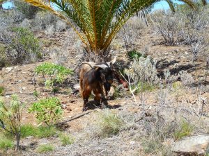 This guy was pretty entertaining.