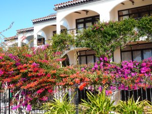 I love the Spanish architecture.