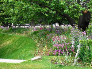 Lush green lawn and lovely flower beds