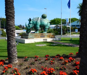 Rhino con Sea Urchins?