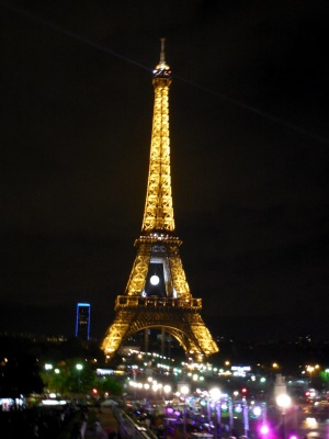 The Majestic Eiffel Tower  - awesome at night!  