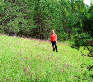 It rains 2 of 3 days here so the Lithuanian countryside is lush and beautiful.