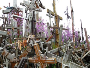 Pretty flowers pushed their way up among the crosses.