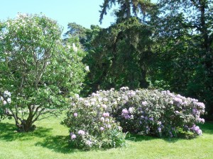The park around the monument was lovely.