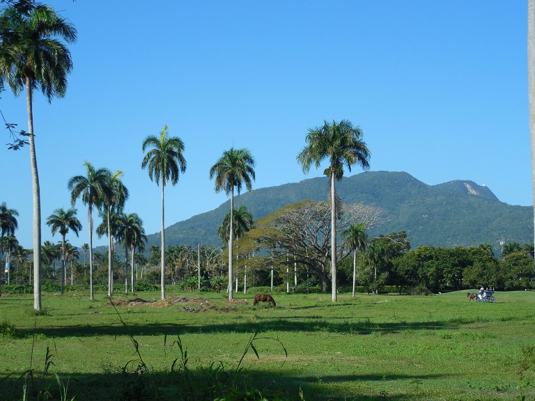 Along our morning walk.