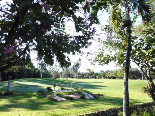 Neatly manicured golf courses