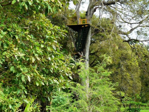 Our first zip line platform of the day.