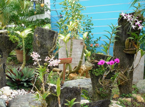 The small rest stop where we feasted on fruit from the plantation was surrounded by flowers.