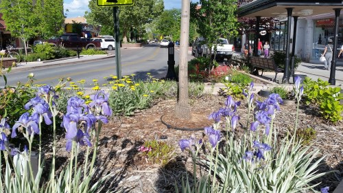 A quaint area in down town.