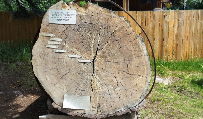 Idaho City in Historical Perspective as Measured by This Ancient Log