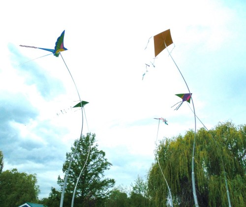 Kites Sculptures in the Park