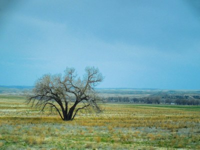 Miles of Wyoming Plains
