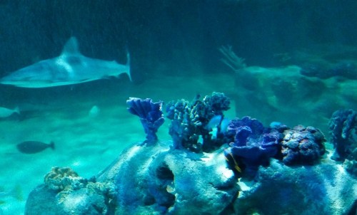 So quiet. So deadly.