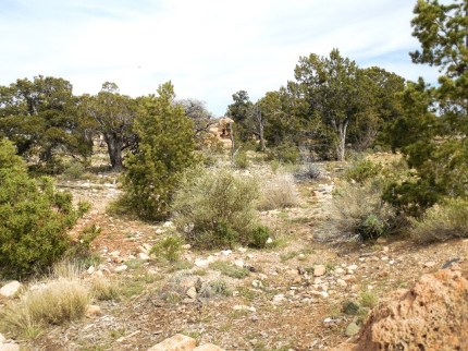 We actually saw tents pitched in this area - a bit too rustic for me.