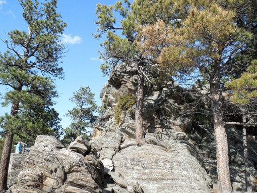 Wild, Rugged, Breathtaking!