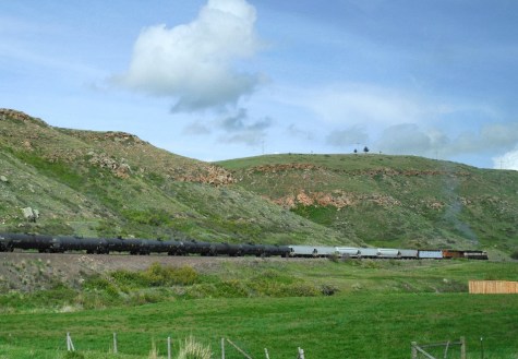 A Snapshot of Americana