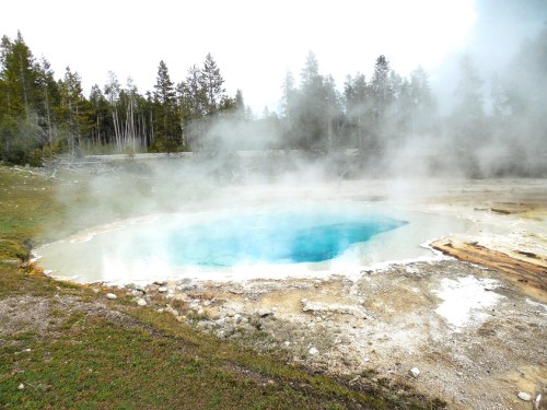 I love these colors!