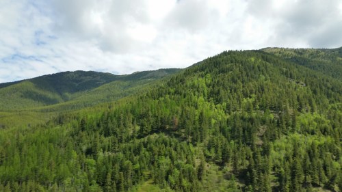 A Long Drive Through Gorgeous Country