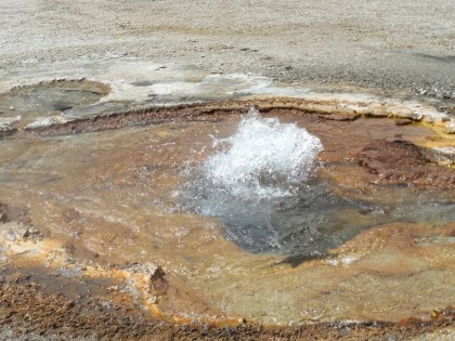 Fountains Everywhere
