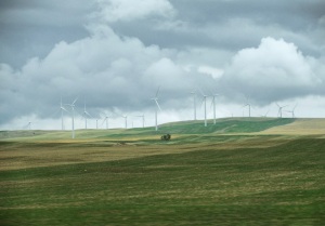 Graceful Wind Farms - Harvesting Earth's Energy