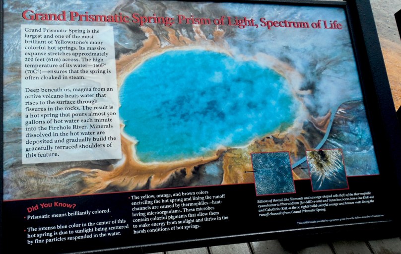 Prismatic Pool Info.