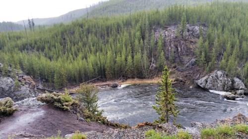 Rain Swollen Rivers and Streams