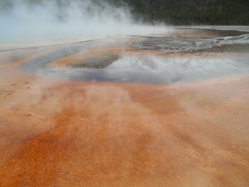 Such Amazing Colors!