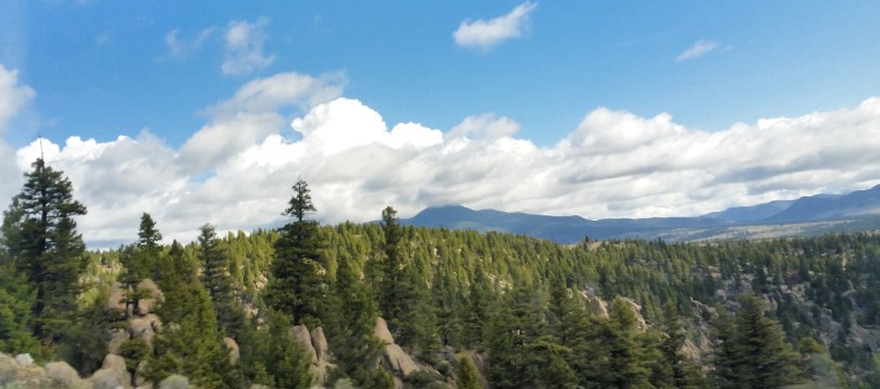 So huge and beautiful!