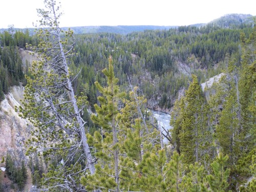 Such Beautiful Country