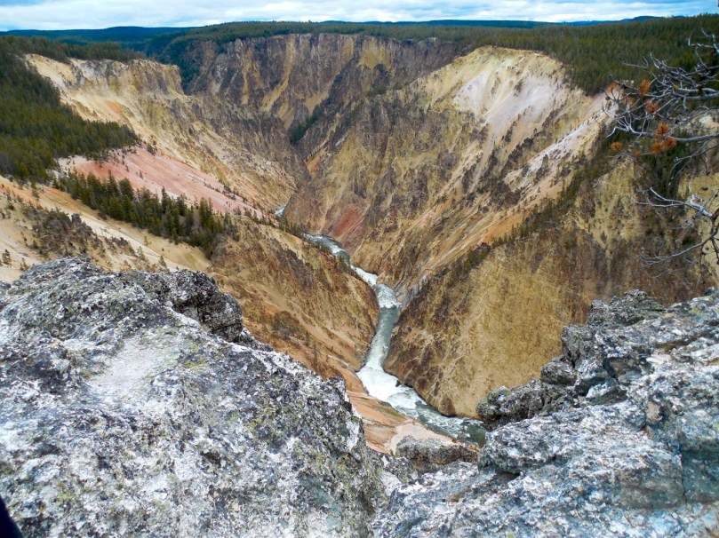The Grand Canyon of Yellowstone!