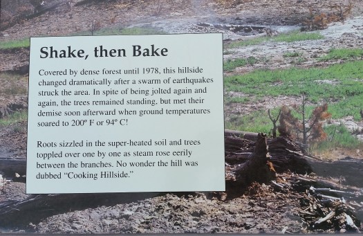 Volcanic Activity Info.