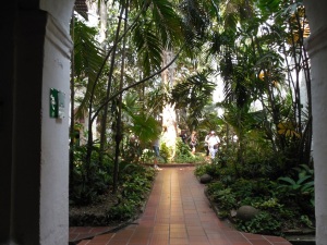 A peaceful courtyard in the center of the residence.