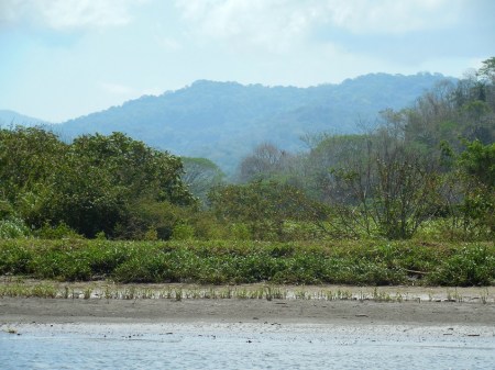The lush mountains and jungles of Costa Rica.