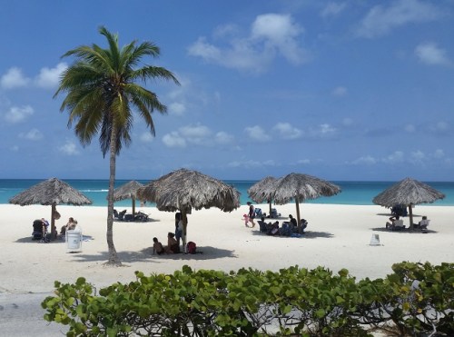 The gorgeous white sand beaches of Arub